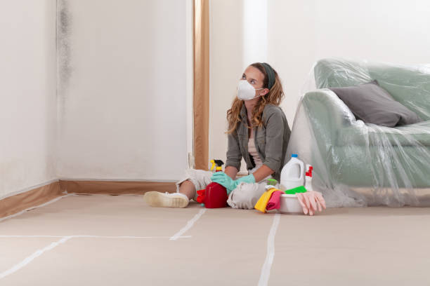 Reliable Mold Remediation contractor in Gaylord, MN by 24 Hour Mold Removal